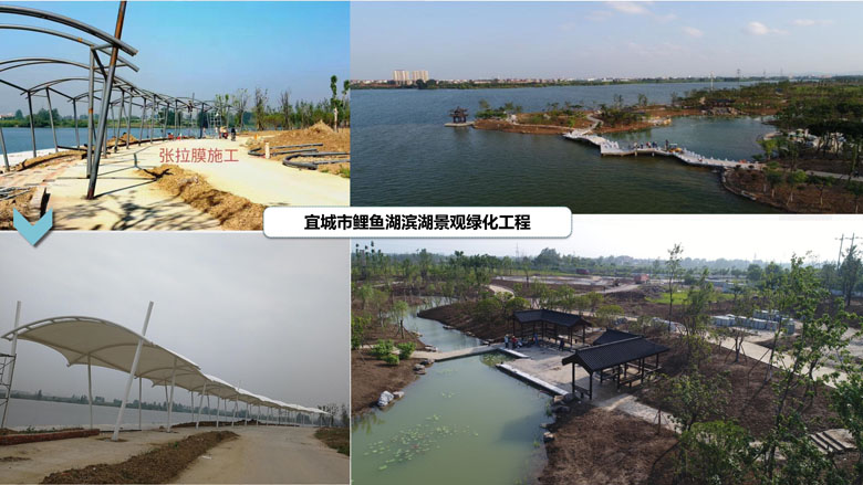 宜城鯉魚(yú)湖公園_5.jpg